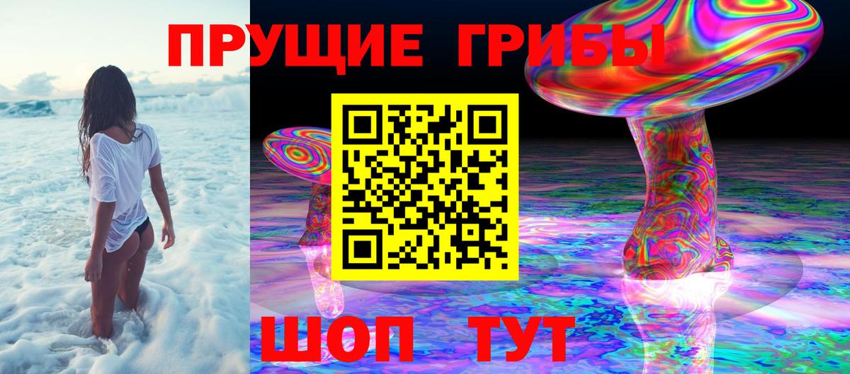 Галлюциногенные грибы мухоморы Белово