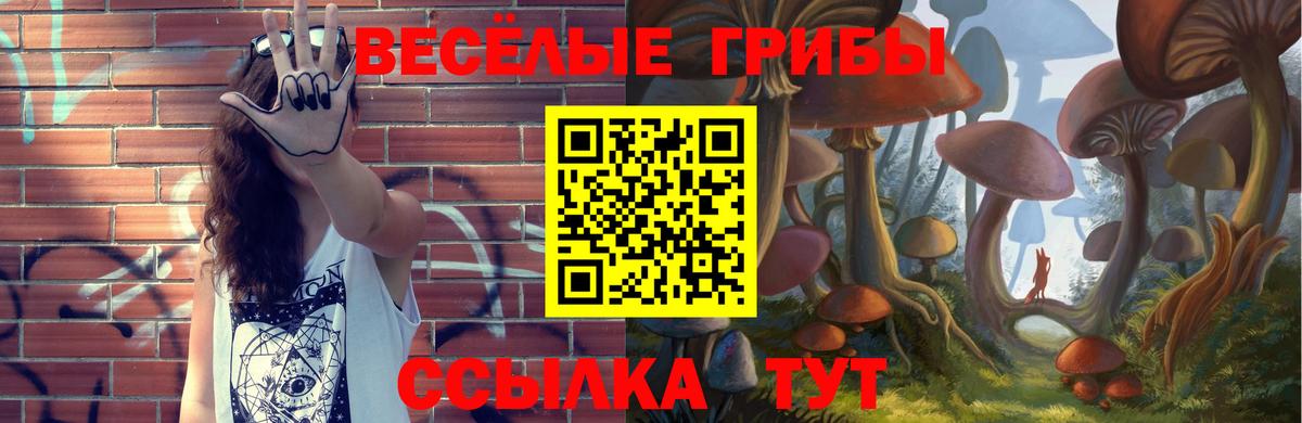 где можно купить наркотик  Вход с VPN  Белово  Псилоцибиновые грибы Psilocybine cubensis 